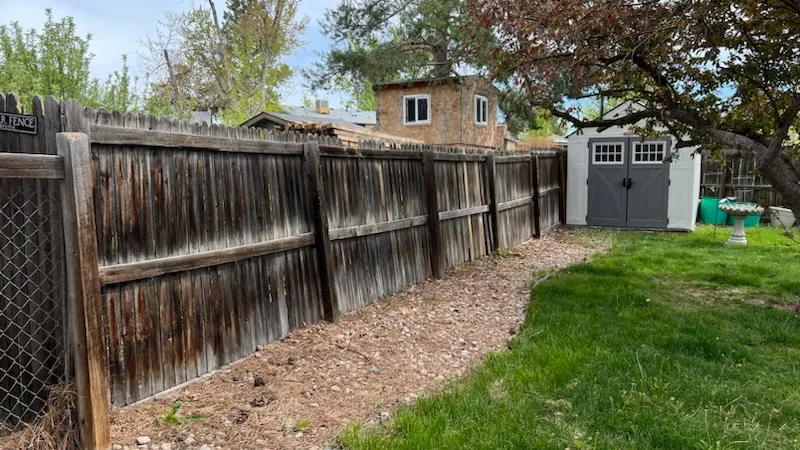 Before — Fence Line
